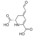 Bezeichnung: (2S) -4- (2-Oxoethyliden) -2,3-dihydro-1H-pyridin-2,6-dicarbonsäure CAS 18766-66-0