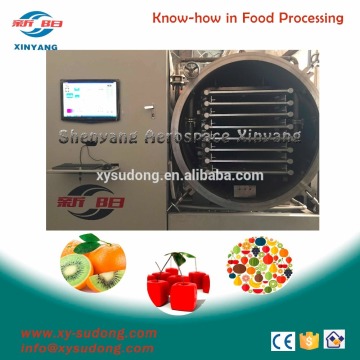 vacuum freeze dryer for Apple, banana, mango