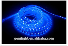 Flexible Epistar Blue LED strip 5050 5 Meter Waterproof DC 12v LED Strip