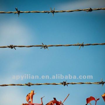 MT IOWA barbed wire partition