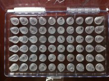 PC plastic pastry tips 60pcs sets/cake mould