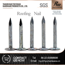 All types of roofing felt paper nails from china mainland