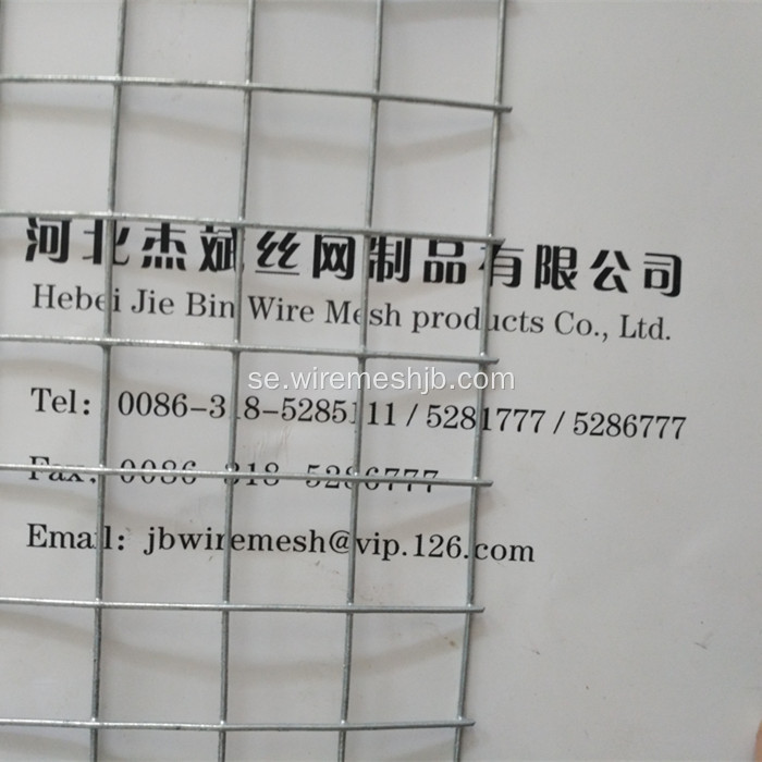 3/4 &quot;Galvaniserad Svetsad Wire Mesh