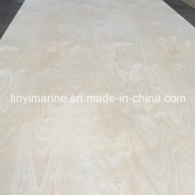 White Birch Plywood, Furniture Birch Plywood 1220*2440*18mm