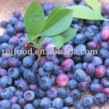 Sell Frozen Blueberry