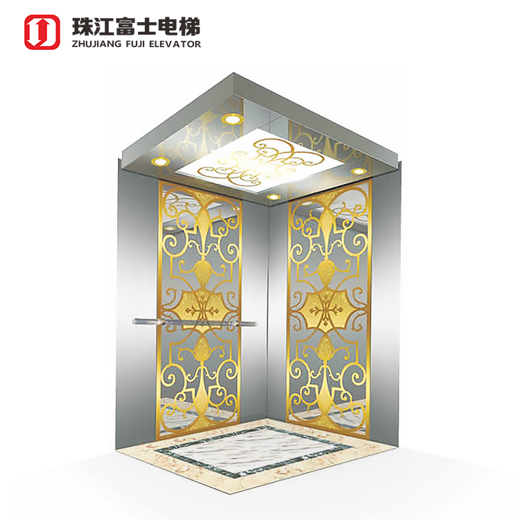 ZhuJiangFuji Brand Personal Lift Equipment Home Electric Elevator home lift