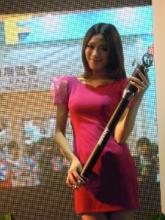 DIY solar gate drive system, Swing Gate Motor,automatic gate system