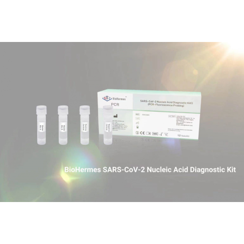 Kit de PCR de diagnóstico COVID19