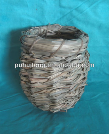 weaving bird nest