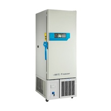 DW-HL340: Ultra Low Temperature Freezer with Reduced Noise and Power Consumption