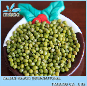 2012CROP CHINA GREEN BEANS/CHINA BEANS/GREEN MUNG BEANS/GREEN BEANS EXTRACT