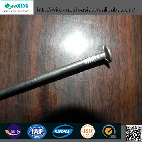 Polished Common Nails Flat Head Nail