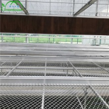 XL Commercial Agriculture Greenhouse: Movable Seedbed Rolling Benches & Fixed Benches for Nurseries