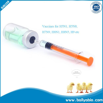 AnTi-Flu Vaccine for Duck