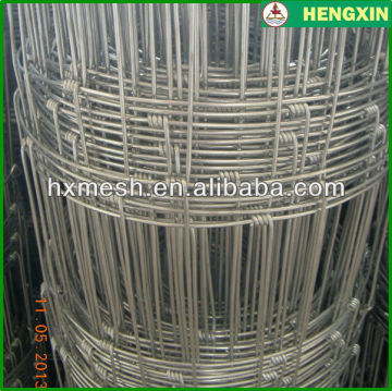 Hot dipped galvanized cattle fence panel pig fencing