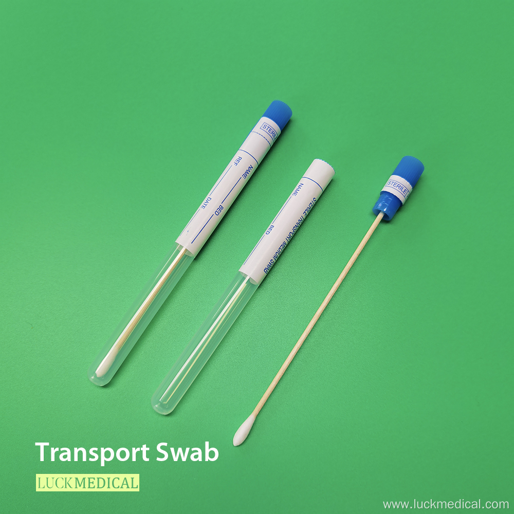 Transport Swab in Tube Wooden Stick Cotton Tip