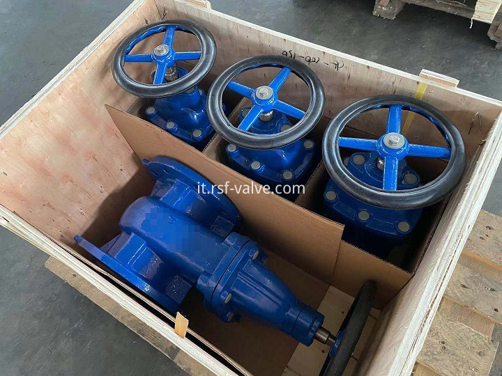 MSGV- BS5163- Packaging-RSF VALVE-1