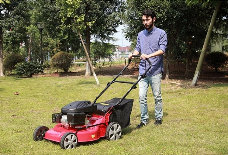 Gasoline Wheel Barrow Grass Cutter Lawn Mower