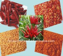 USA Standard Chili Pepper