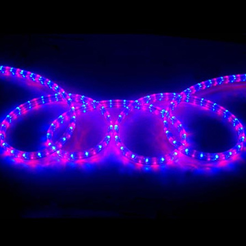 Waterproof LED Strip Lights with CE and GS Product Approvals