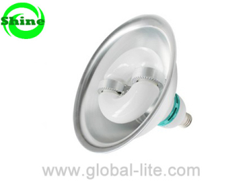 Self Ballasted Induction Lamp