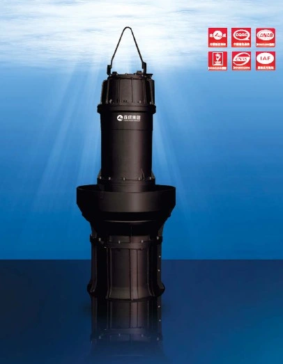 Vertical Axial Flow or Mixed Submersible Pumps