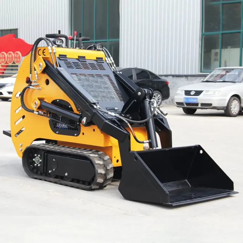China Famous Brand Mini Loader