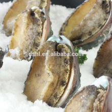 Frozen seafood exporter 100% natural frozen abalone