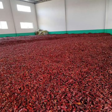 American Red Dried Yidu Chilies