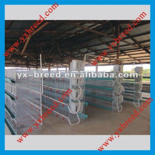 poultry farming equipment for broiler