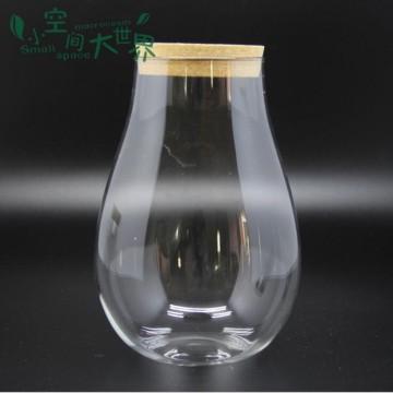 Glass Jar Terrarium With Wooden Lid