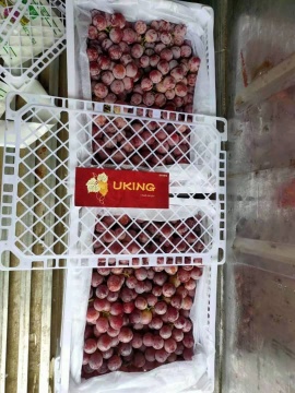 fresh xinjiang good quality red grape