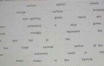 Blind printing books Braille products Braille printing