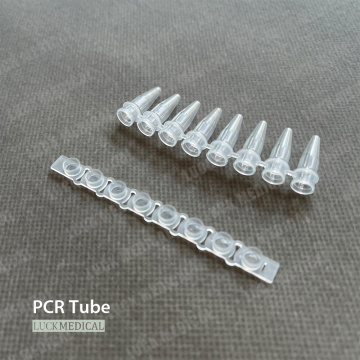 Jednorazowe plastikowe paski PCR 8 rurki PCR