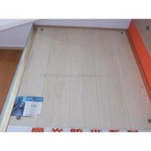 Mirror Surface floor