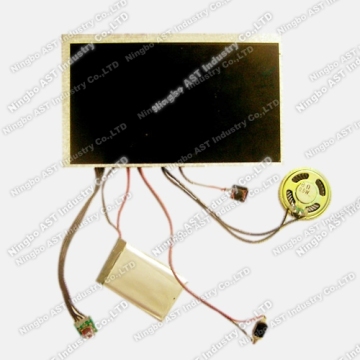 Video Mailer MP4 Sound Module Video Module