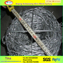 Barbed Wire Different Types