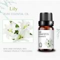 customization 10ml wholesale bulk pure natural Lily oil