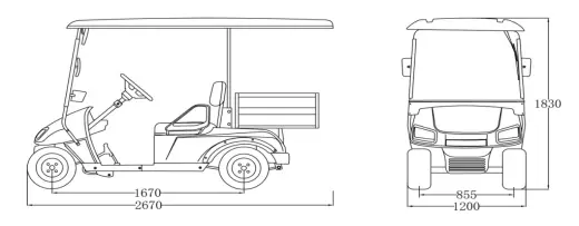 Zhongyi 2 Seats Cargo Electric Golf Cart for Resort