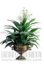 artificial dracaena fragrans tree