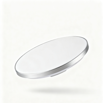 Commercial LED Ceiling Light