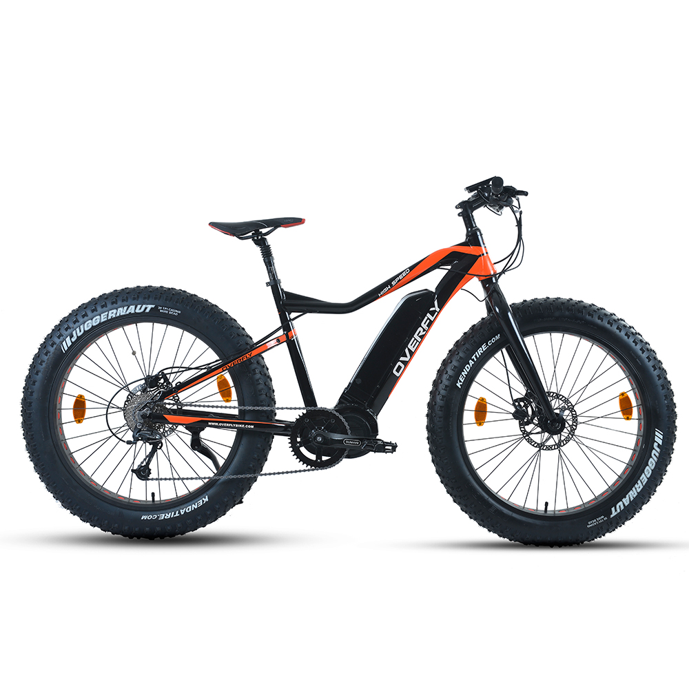 Fat tire electric bicycle