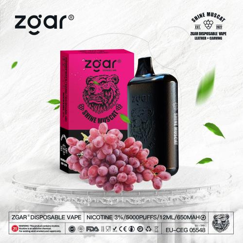 Kit de cigarro eletrônico descartável ZGAR