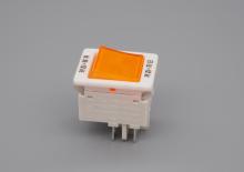 Double-Pole Rocker Switch type of Circuit Breaker