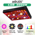 Aglex C3000WCOBクリーLEDグローライト