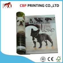 Graphic Art Paper Custom Adult Magazine Printing