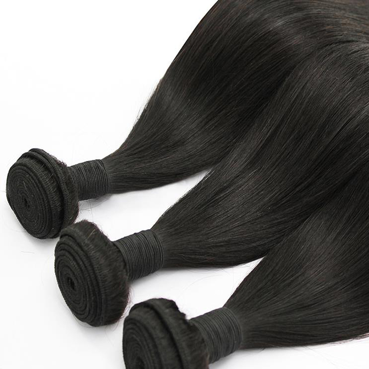 Mink Brazilian Straight Malaysian Hair Weave Bundles With Closure 8A and 9A, Wholesale Silky Straight Hair Extensions
