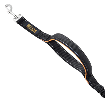 Comfortable Bungee Dog Leash