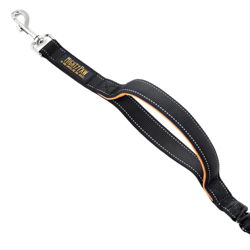 Comfortabele Bungee Dog Leash