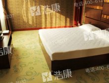 Quality design hotel floor mat